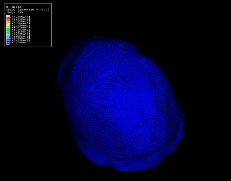 Turtle Shell Simulation