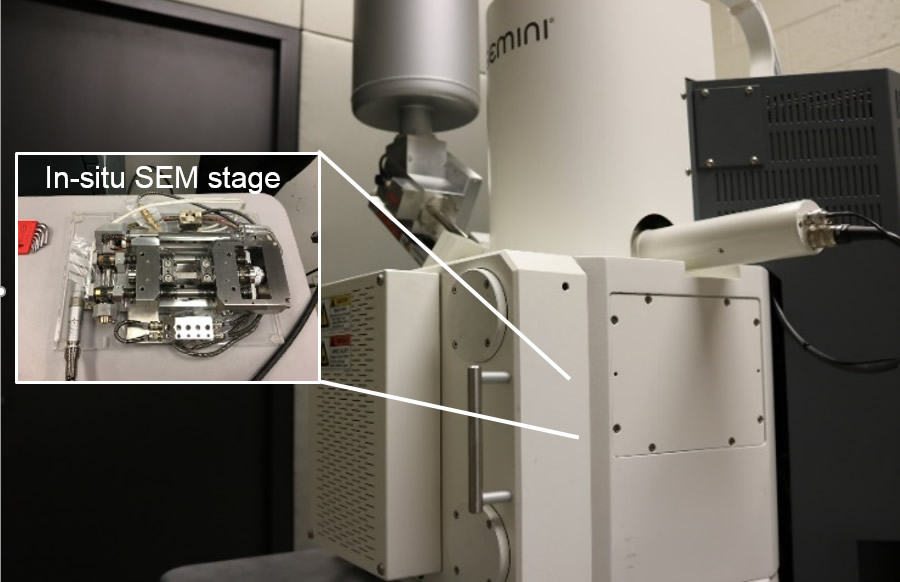 In-Situ SEM stage for microscopy