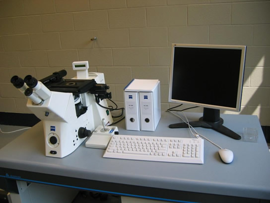 ZEISS Axiovert 200 optical microscope