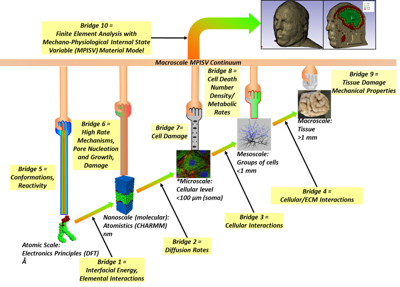 Biomaterials Simulation Dataflow Chart