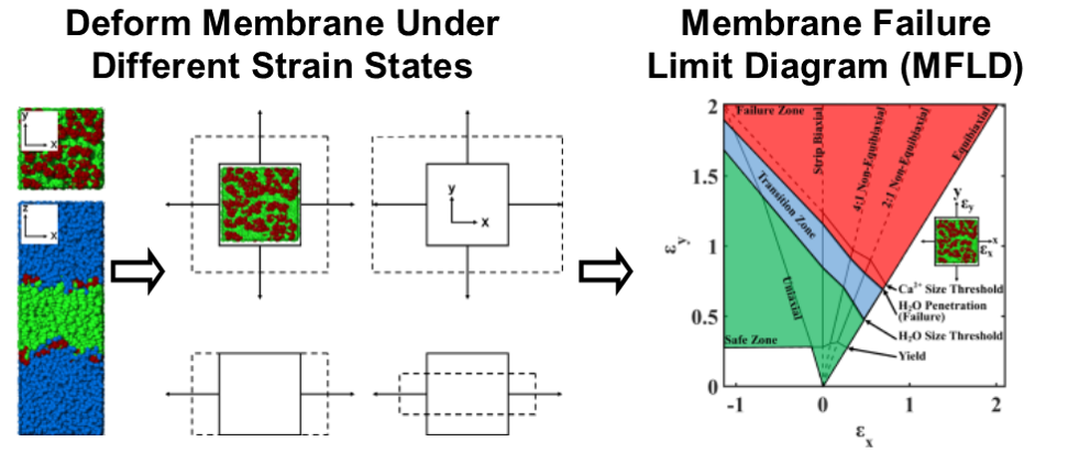 Strain State Deformation Simulation Data