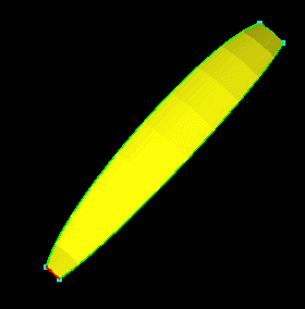 minnow37
