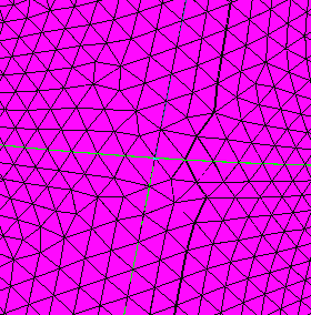 minnow_space19