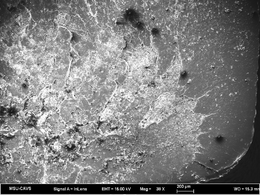 ESEM discolored edge