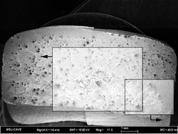 ESEM overall surface