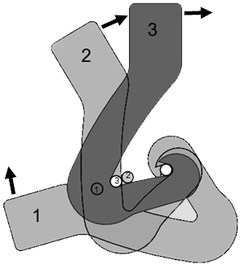 Clasp with 3 positions