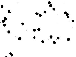 White background with cells and black dots without 100cm