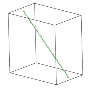 polymer chain intial condition