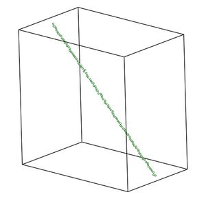 polymer chain intial condition