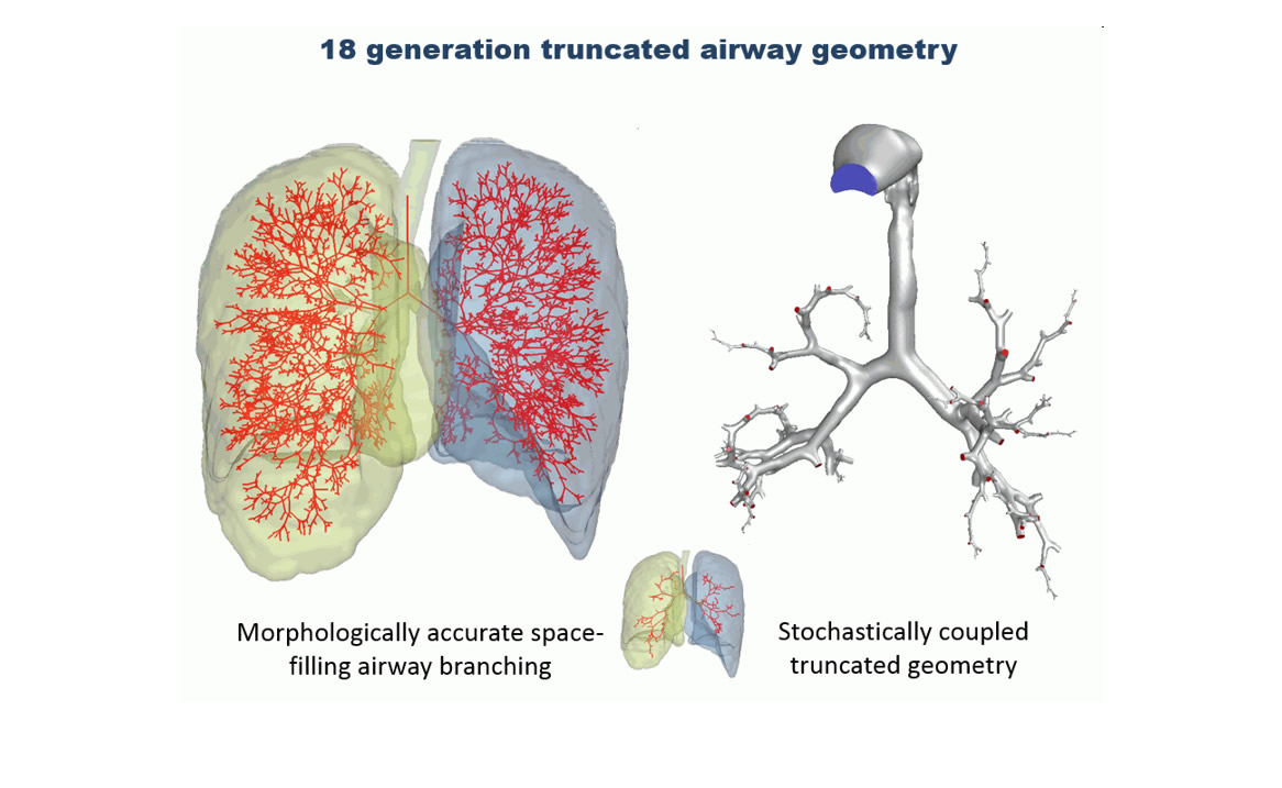 18 generation truncated airway geometry