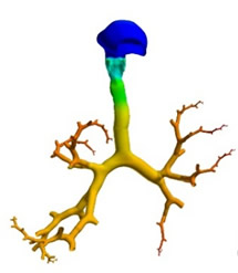 Energetics Model 4