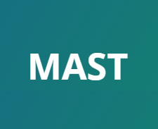 mast link